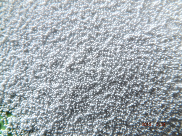 精尔奇198（20%包被肉桂醛）