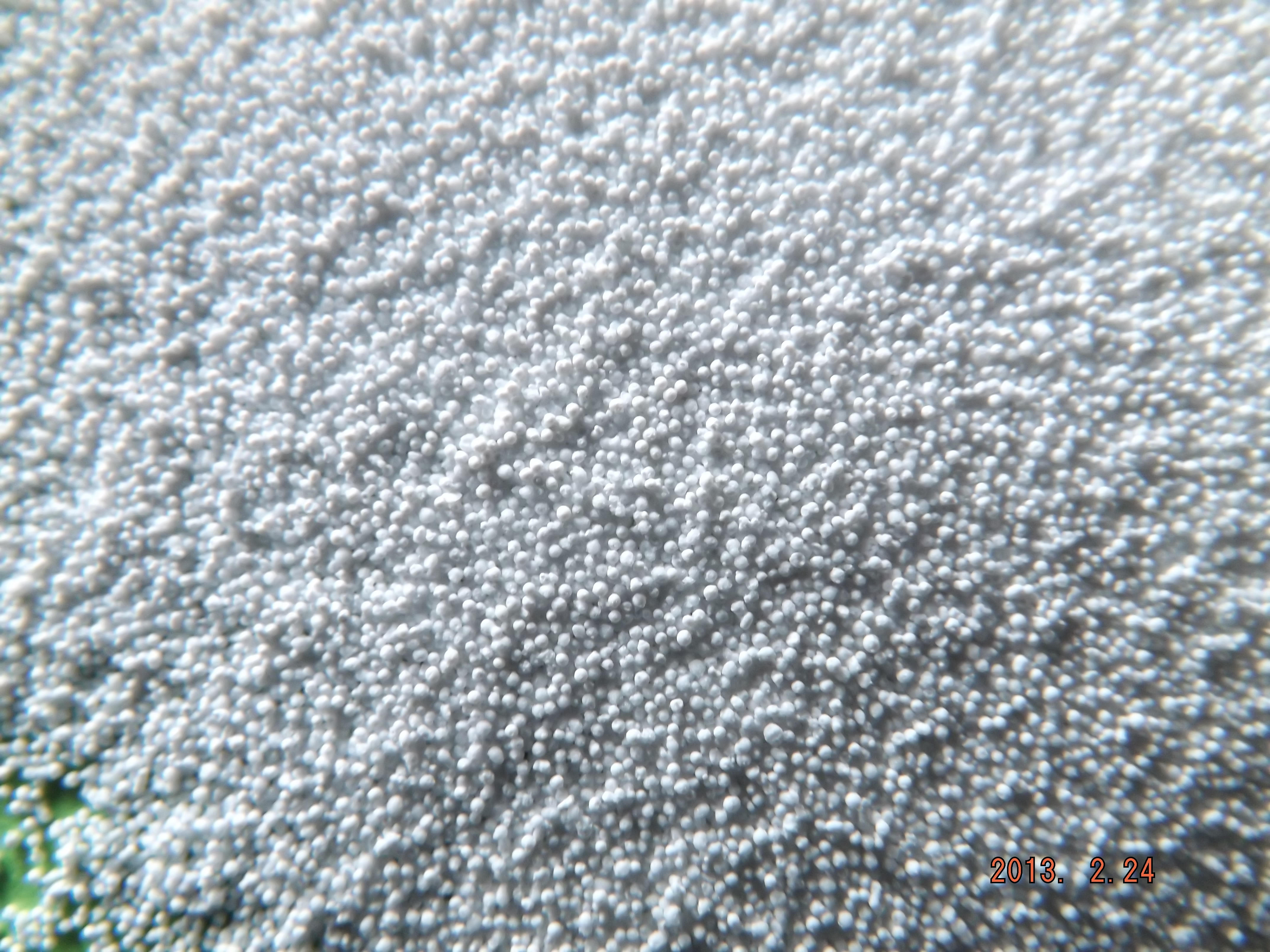 精尔奇198（20%包被肉桂醛）