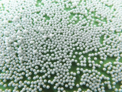 微丸丸芯（淀粉型）