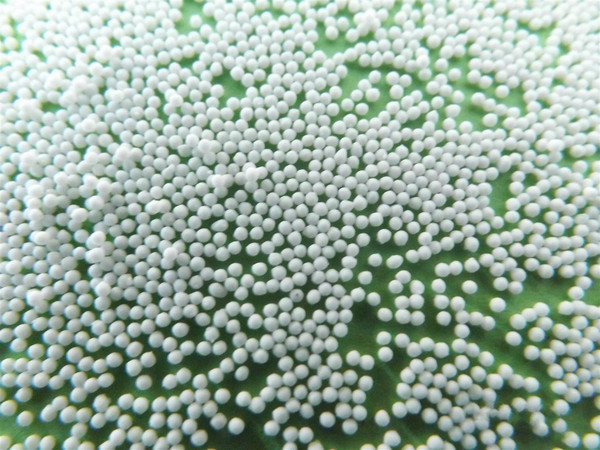 微丸丸芯（淀粉型）