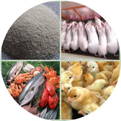 肠得宝（包膜丁酸钠）